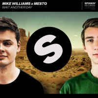 Mike Williams & Mesto - Wait Another Day