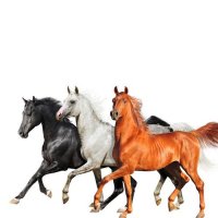 Lil Nas X, Billy Ray Cyrus & Diplo - Old Town Road (Diplo Remix)