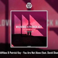 WildVibes & Patrick Key feat. David Shane - You Are Not Alone