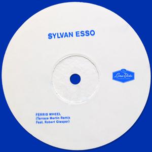 Sylvan Esso, Robert Glasper - Ferris Wheel (Terrace Martin Remix) 